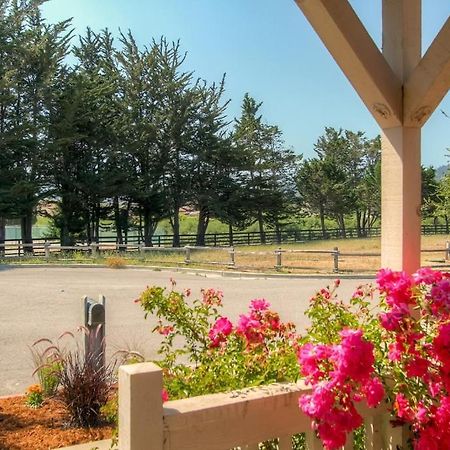 Serene Bungalow-Style Home In Point Reyes Station! מראה חיצוני תמונה
